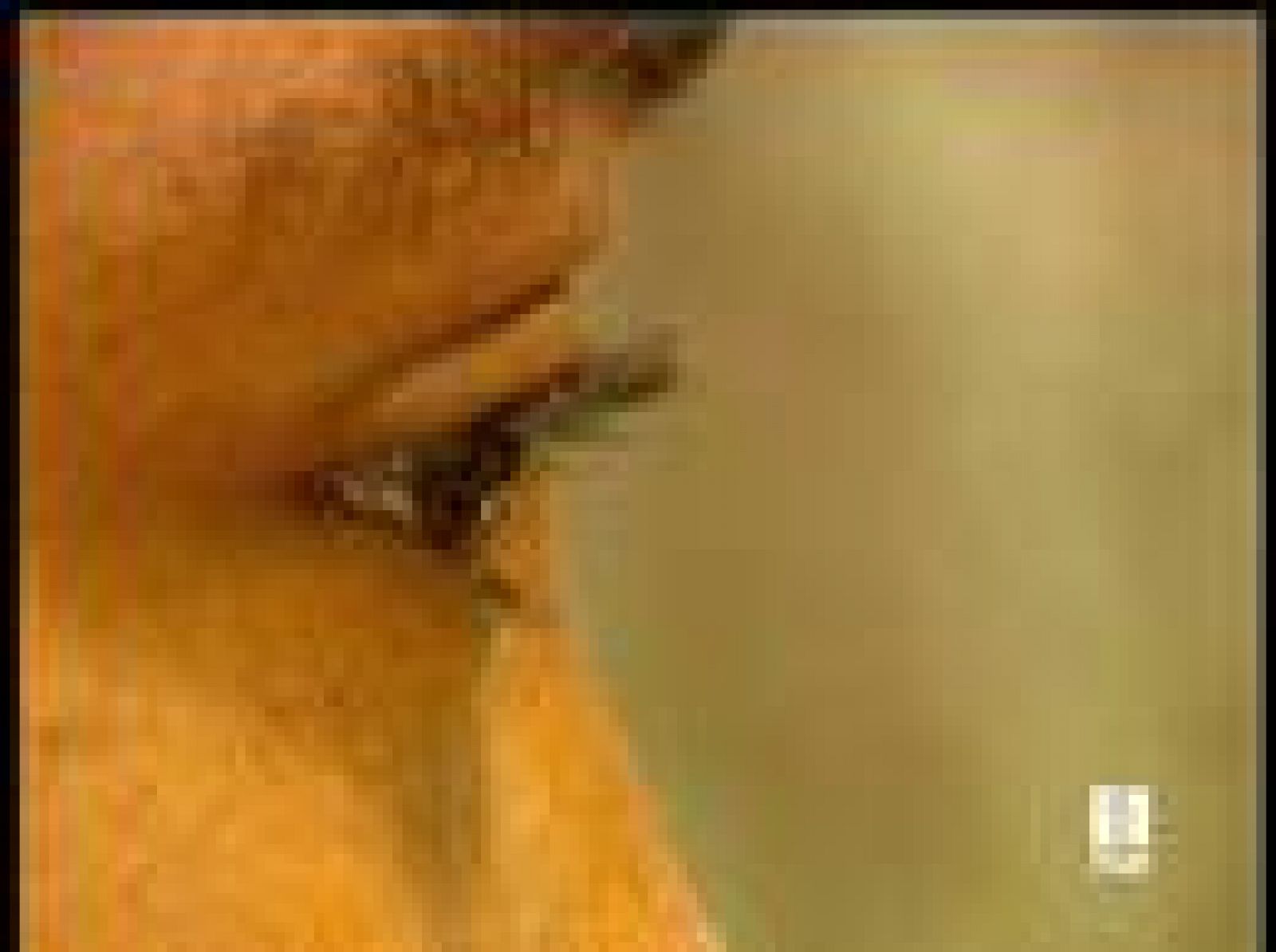 Save The Children ha presentado un informe estremecedor | Ver