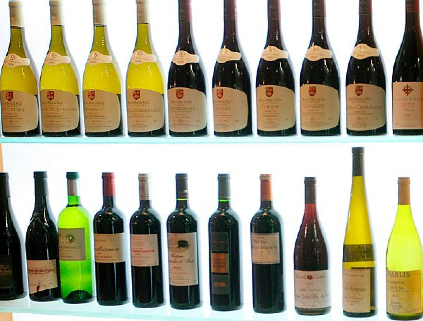 Jerez celebra su feria del vino