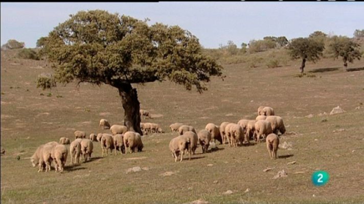 Biodiario - Biodiario - 02/03/11