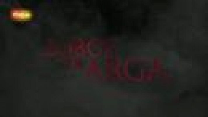  - 'Lobos de Arga', el director