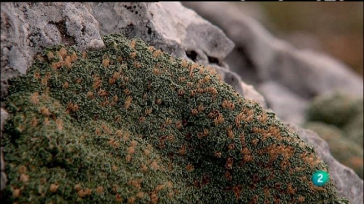 Biodiario - Biodiario - 03/03/11