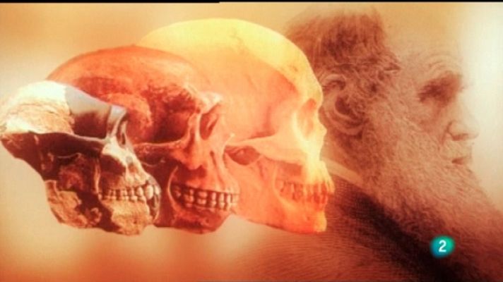 Universo UNED - UNED - 04/03/11