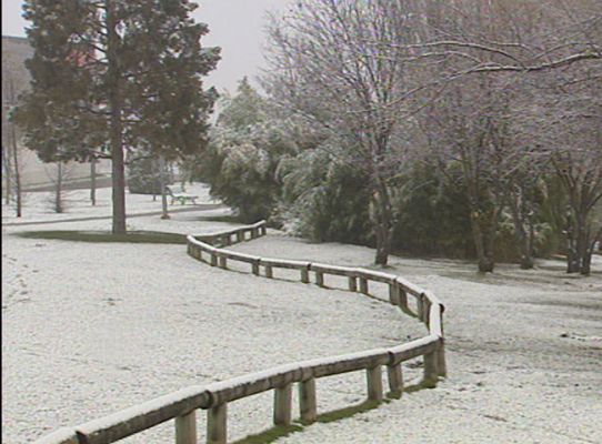 Telediario 1 - Alerta por nieve y frío
