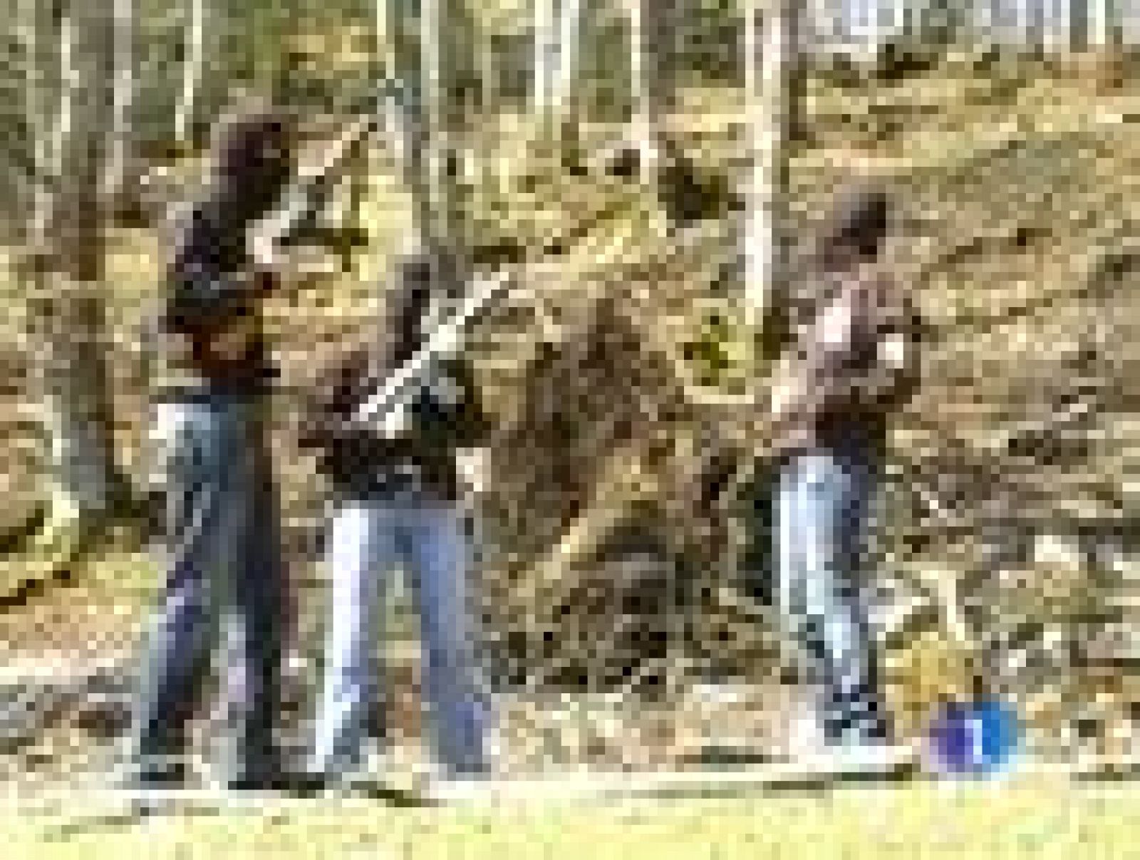 Los detenidos de ETA provenían de Segi