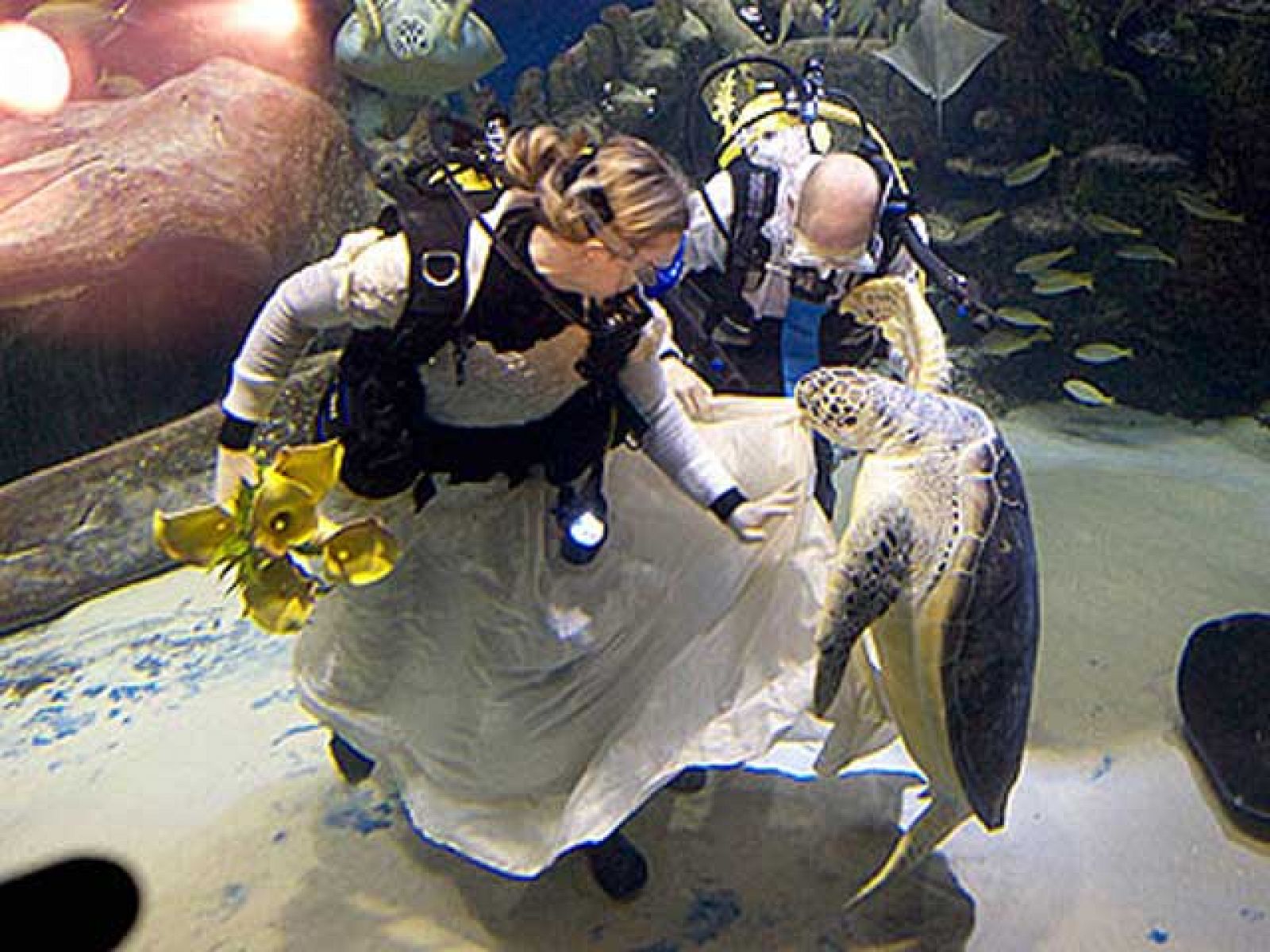 On Off: Un matrimonio bajo el agua