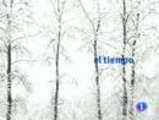 Noticias de Castilla y León - El tiempo en Castilla y León - 08/03/11