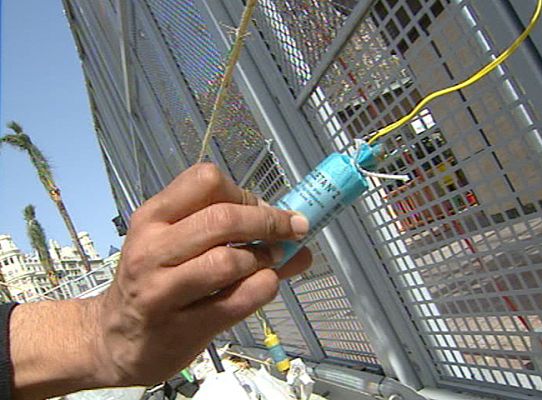 Fallas - Edad necesaria para tirar petardos