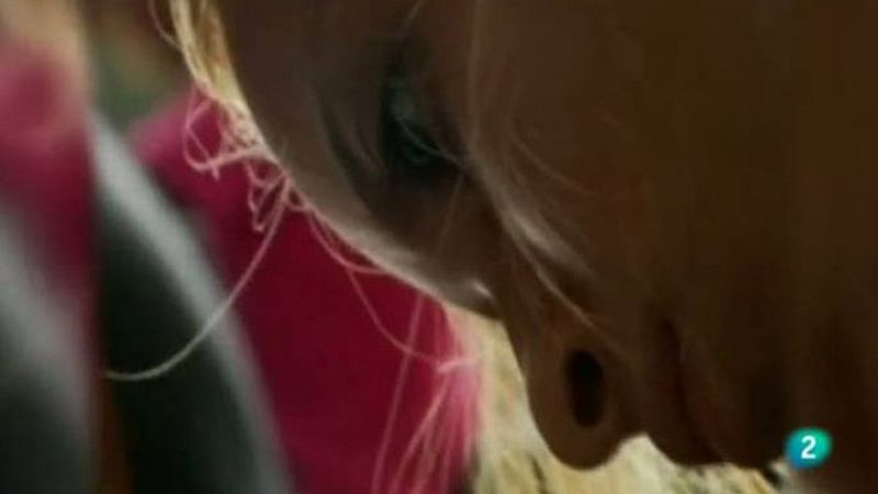 El dia de la mujer trabajadora 