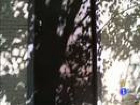 Españoles en el mundo - Pekín - José y Patzy