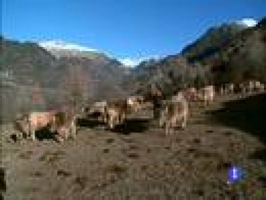 Destino: España - Aragón III - Amanda