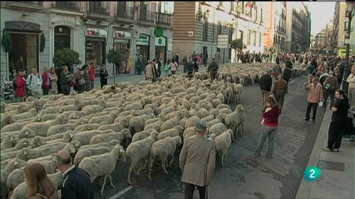 Biodiario - Biodiario - 09/03/11