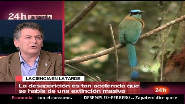 La tarde en 24h - La tarde en 24 horas - Tercera hora - 09/03/11