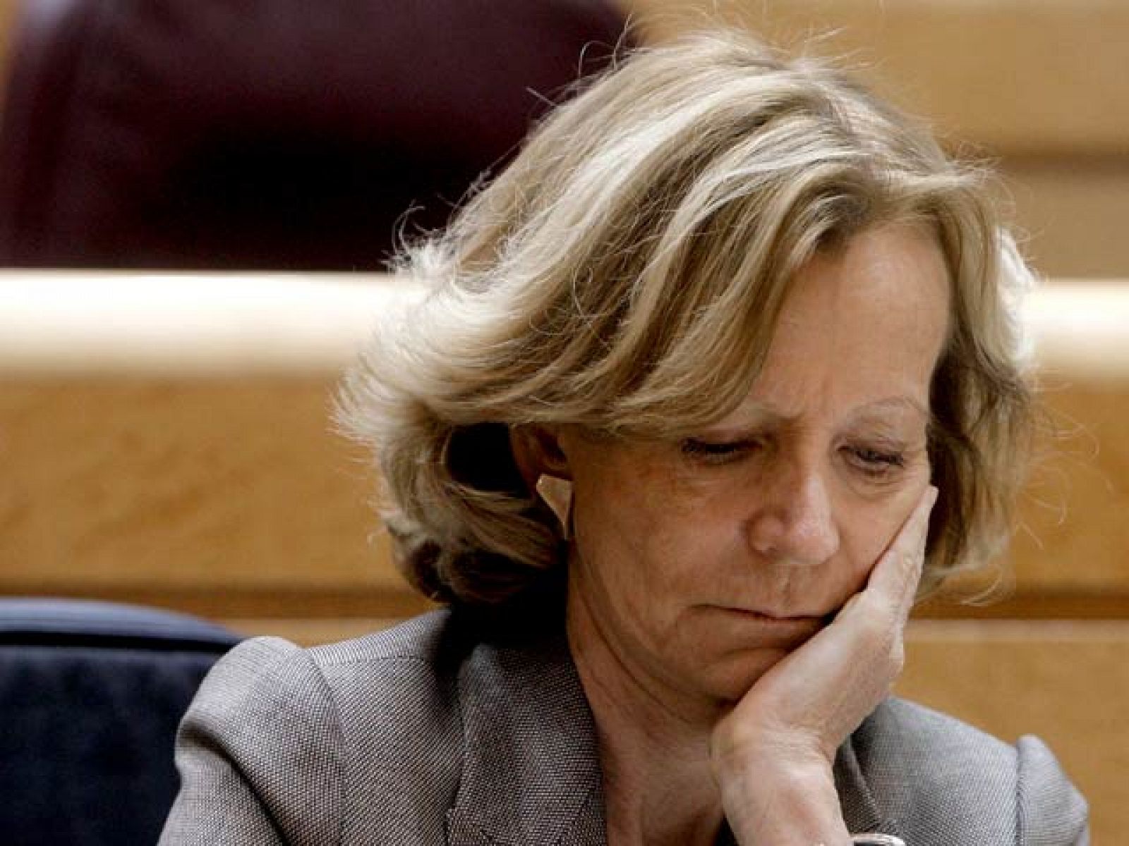 Salgado cifra en 20.000 millones las necesidades de las cajas | Ver