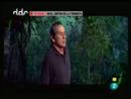 Días de cine - 'En el centro de la tormenta'