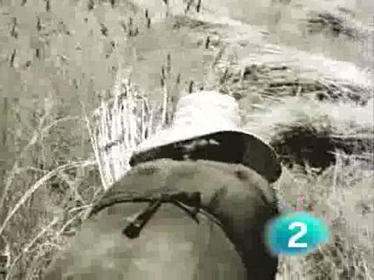 Archivos Tema - La tierra tiene nombre de mujer