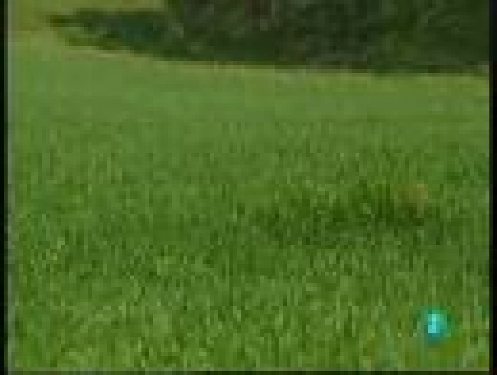 Inventa-Wash Up Golf | Ver