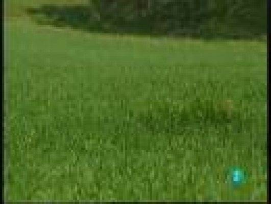 Fábrica de ideas - Inventa-Wash Up Golf