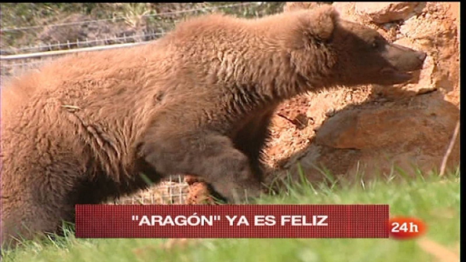 España en 24 horas - 11/03/11 - España en 24h | Ver