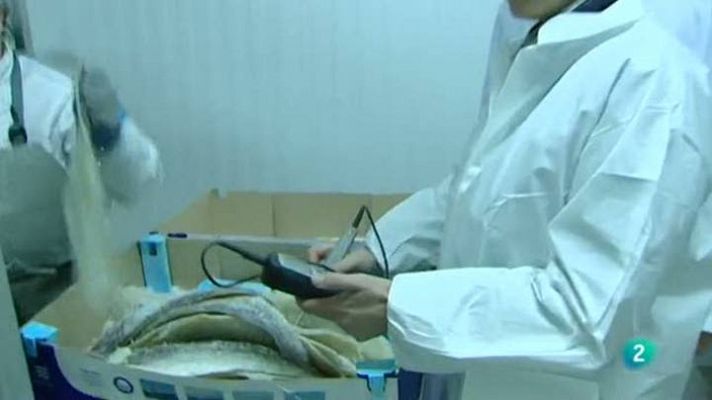 El escarabajo verde - Si te dicen que comí - Parte 1