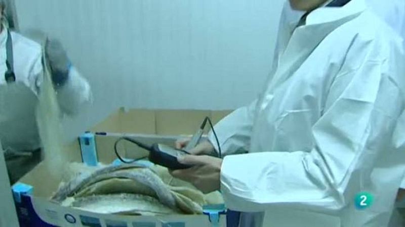  El escarabajo verde - Si te dicen que comí