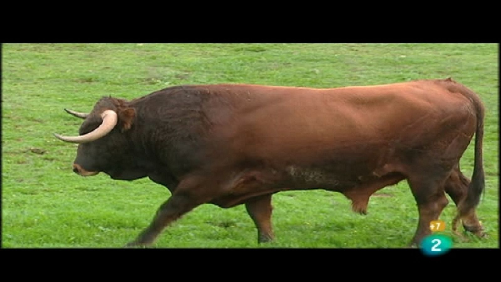 Tendido cero - 12/03/11