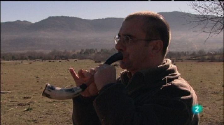 Biodiario - Biodiario - 13/03/11