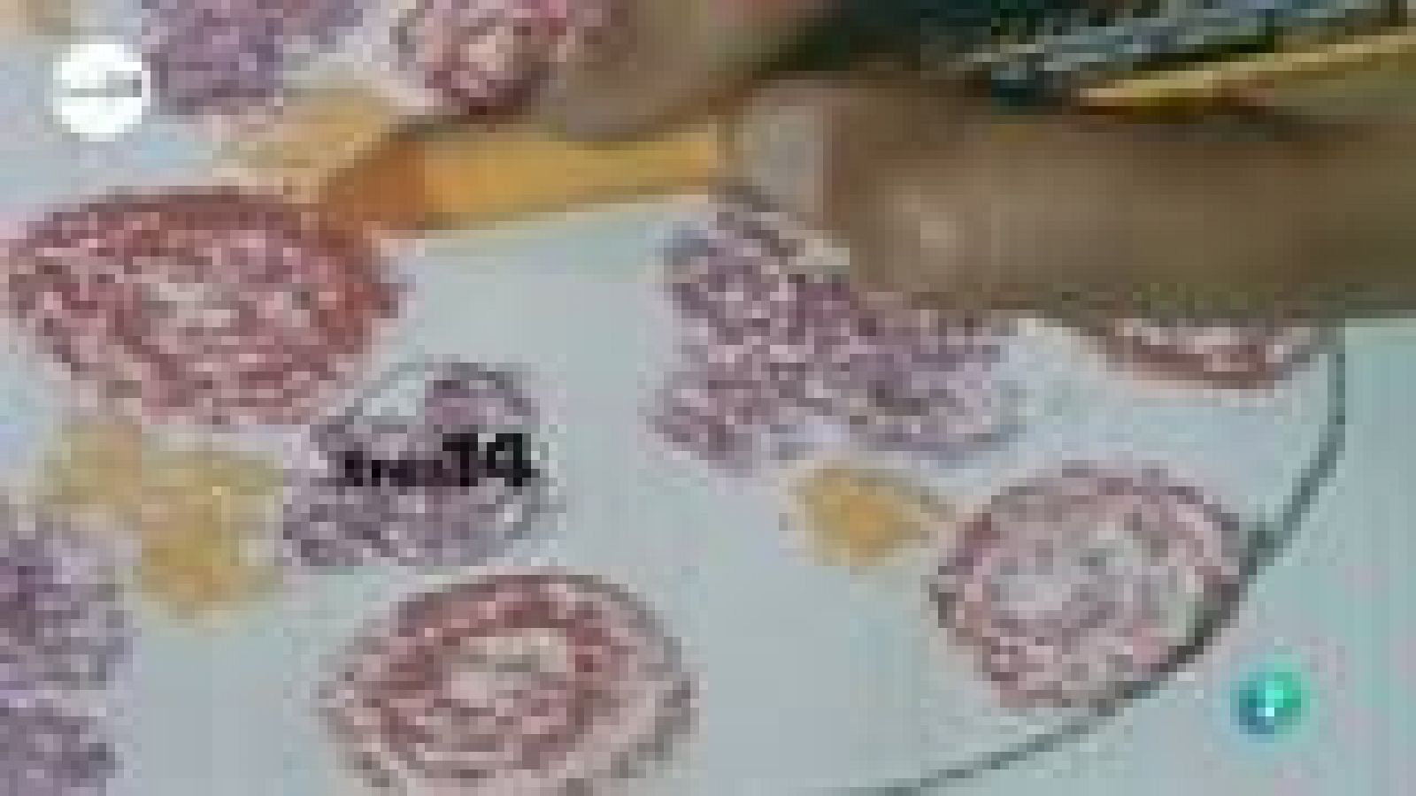 ¿Qué se investiga hoy sobre el color? ¿Qué podemos saber sobre el color de lo que comemos? ¿los mamíferos ven los mismos colores?