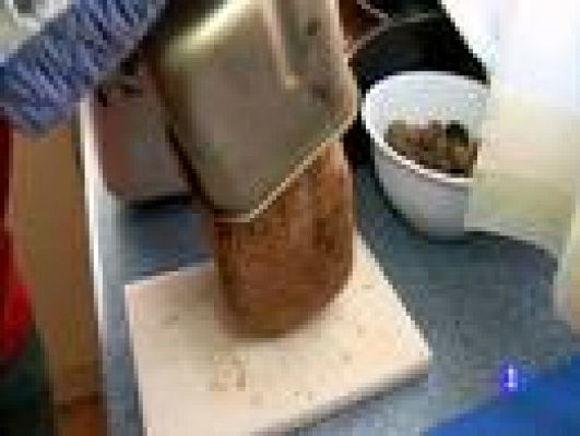 Destino: España - Aragón III - Pollo indonesio