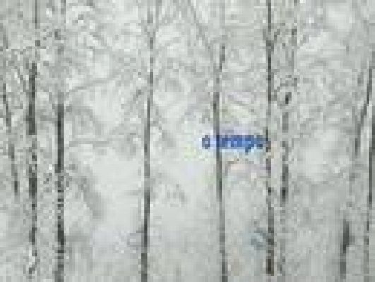 Telexornal - Galicia - El tiempo en la Comunidad de Galicia - 14/03/11