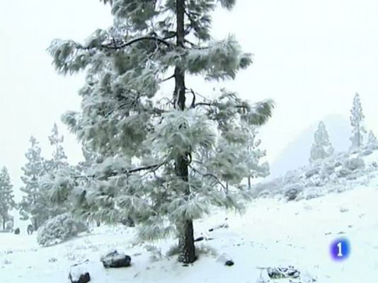 Telecanarias - Telecanarias. El informativo de Canarias. 14/03/2011