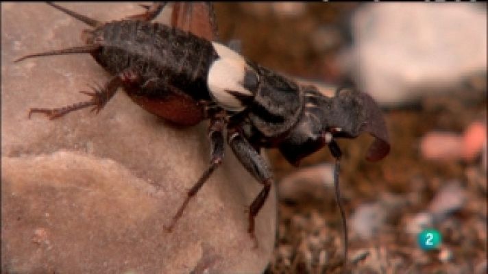 Biodiario - Biodiario - 14/03/11