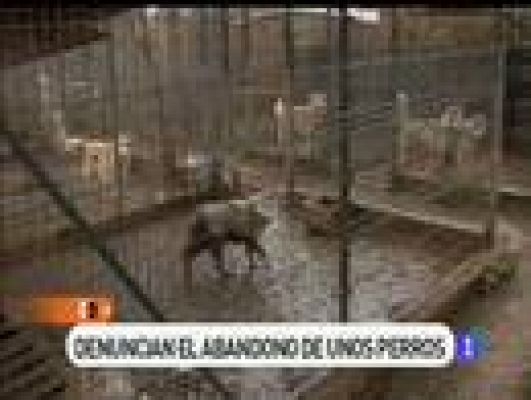 España Directo - Criadero en mal estado