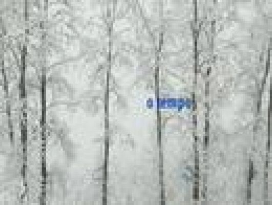 Telexornal - Galicia - El tiempo en la Comunidad de Galicia - 15/03/11