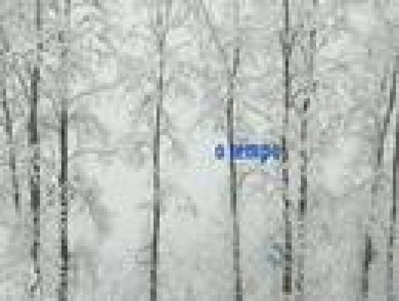 El tiempo en la Comunidad de Galicia - 15/03/11