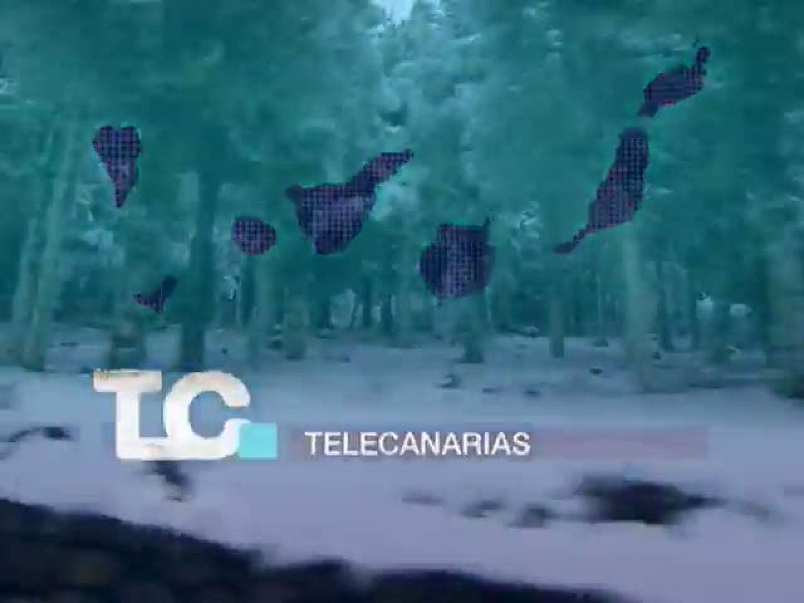 Telecanarias: Telecanariase en 2'- 15/03/2011 | RTVE Play