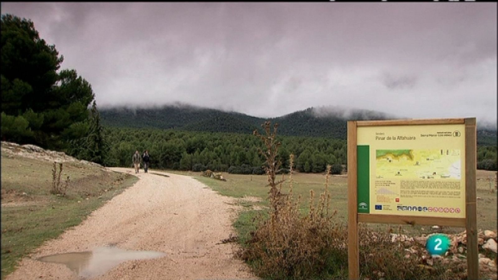 Biodiario - 15/03/11 - Biodiario | Ver