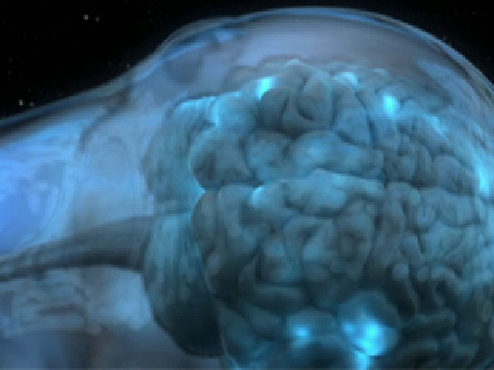 Ya puedes ver los primeros minutos de "Insomnio letal"