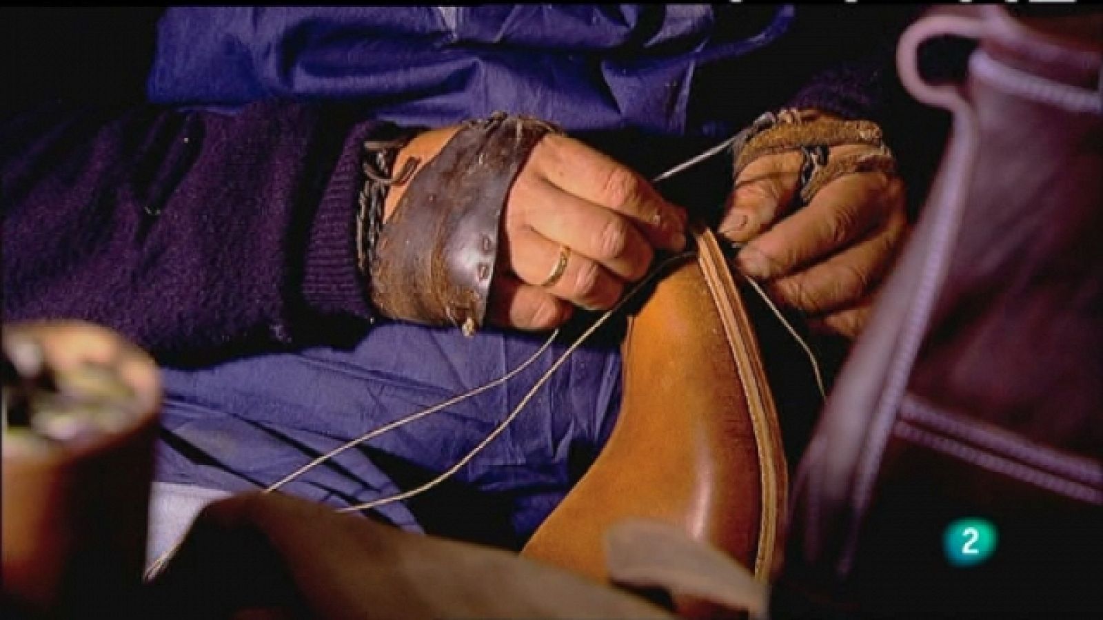 Biodiario - 16/03/11 - Biodiario | Ver