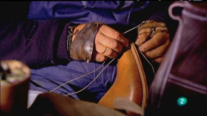 Biodiario - Biodiario - 16/03/11