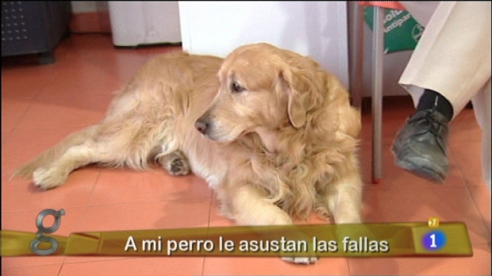 Gente - 16/03/11 - Gente | Ver