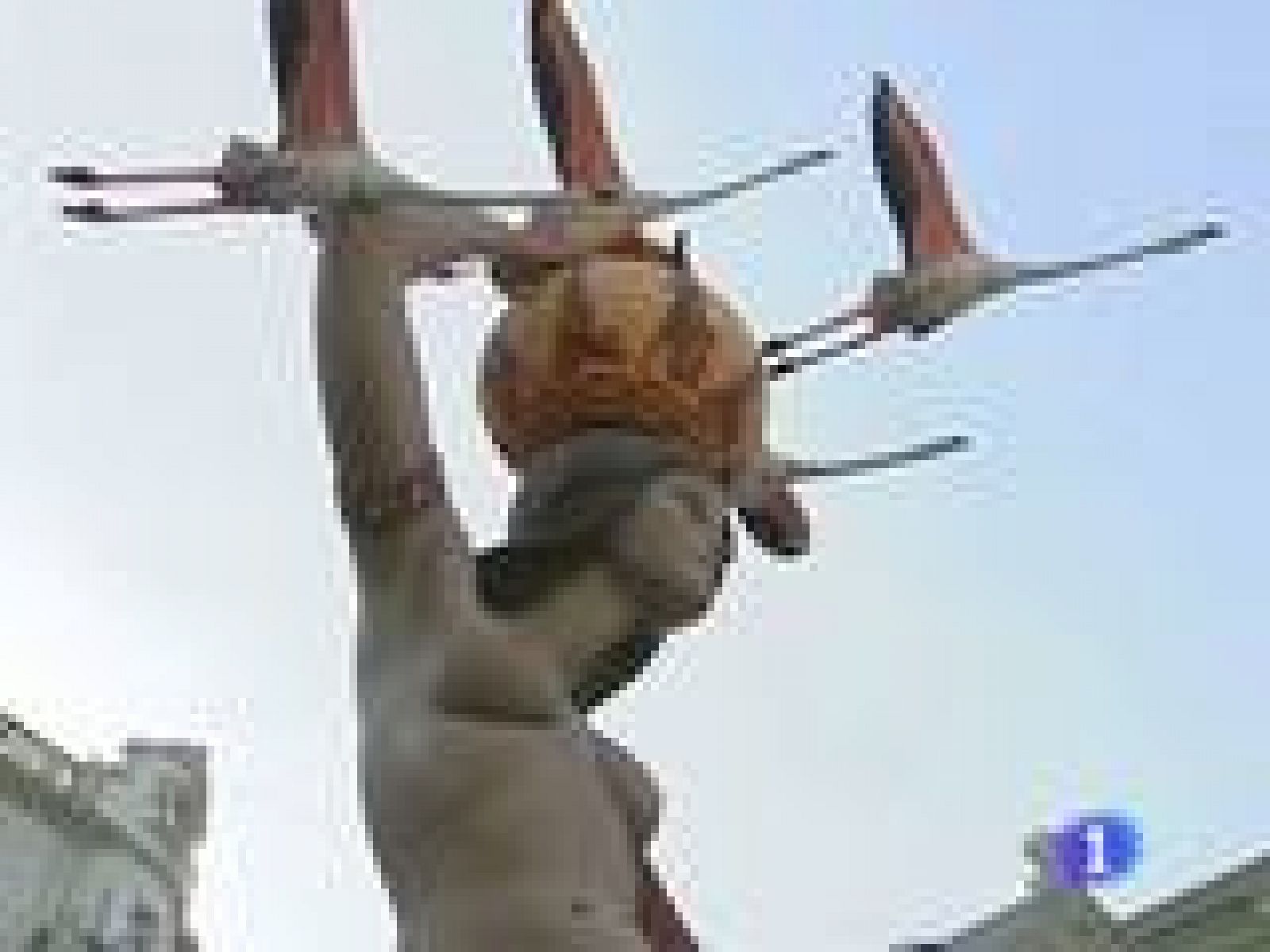 Segundo premio, a Conde Altea | Ver