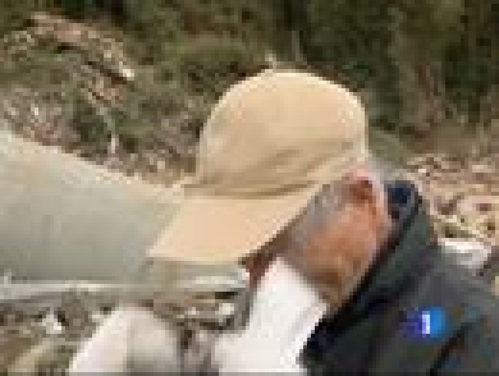 Medidas sin precedentes para enfriar los reactores nucleares