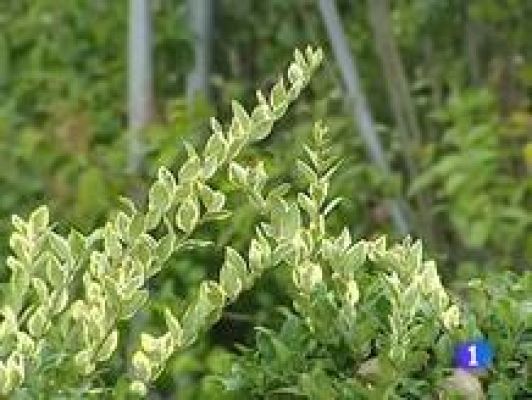 Informativo Telerioja - Informativo Telerioja - 17/03/11