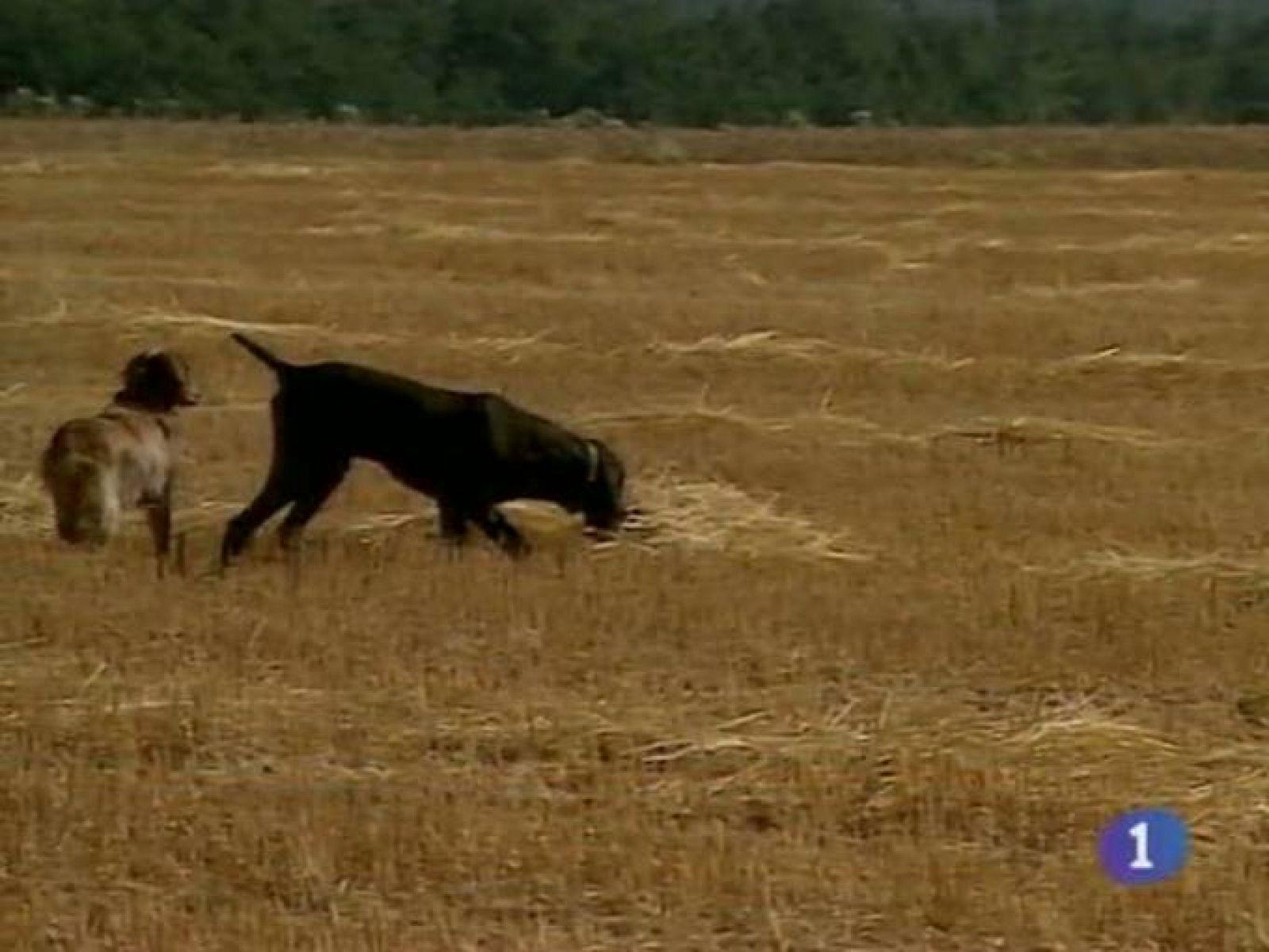 Noticias de Castilla-La Mancha:  Noticias de Castilla La Mancha. Informativo de Castilla La Mancha. (18/03/2011) | RTVE Play