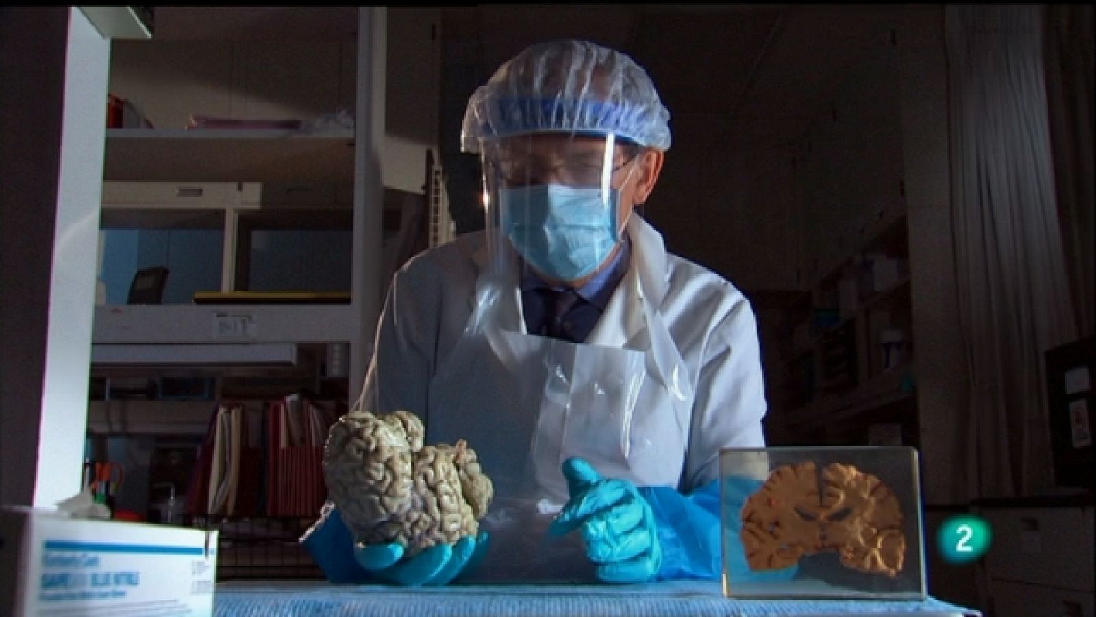 La noche temática - Insomnio letal - Ver ahora