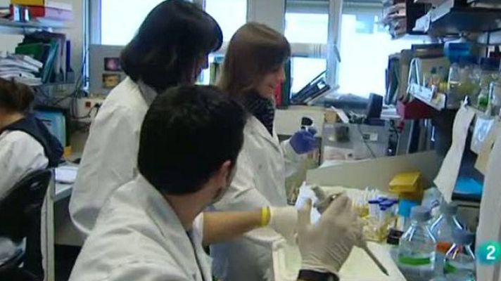 Para todos La 2 - La diabetes