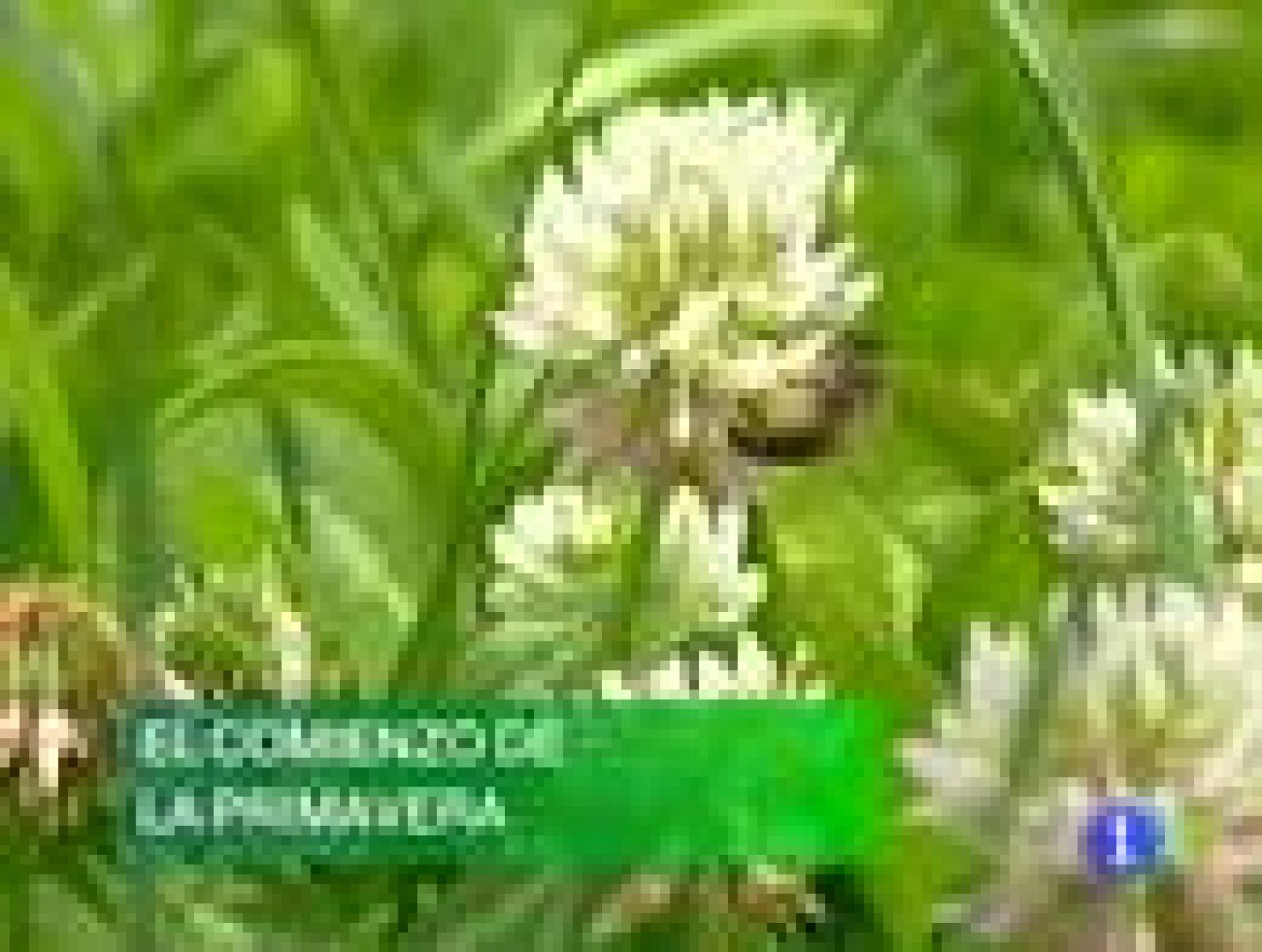 Noticias Murcia.-21/03/2011. | Ver