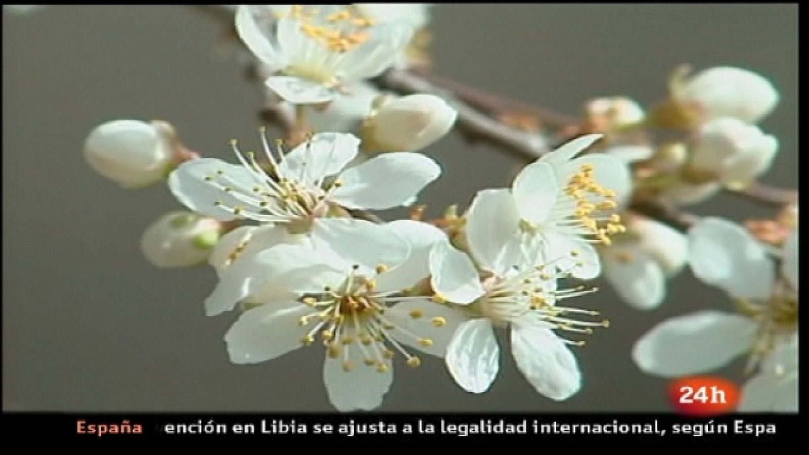 España en 24 horas - 21/03/11 - España en 24h | Ver