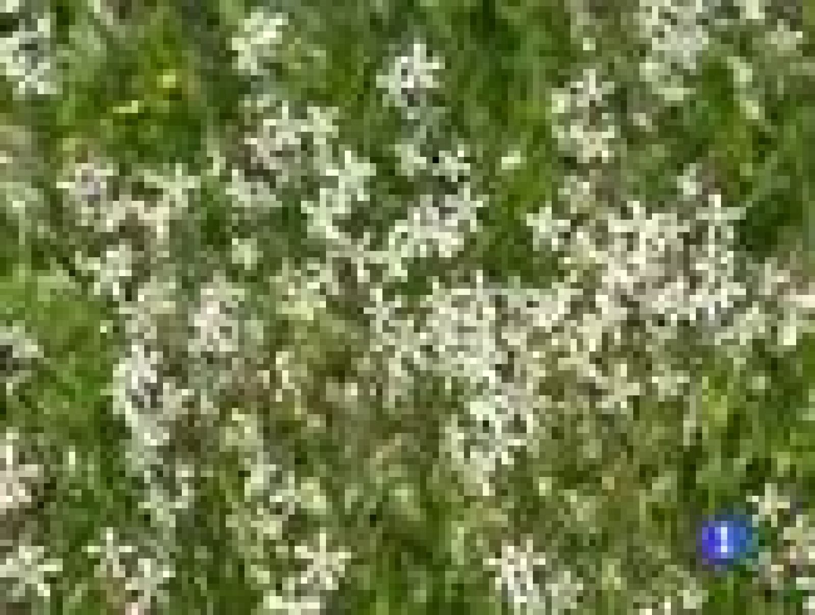 Telecanarias en 2'- 21/03/2011 | Ver