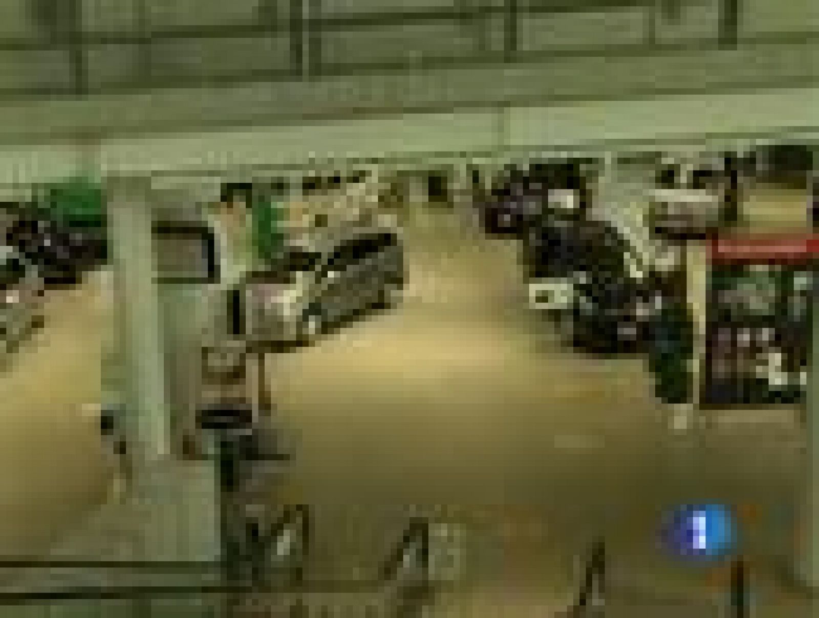 Algunas multinacionales japonesas han tenido que paralizar hoy parte de su producción